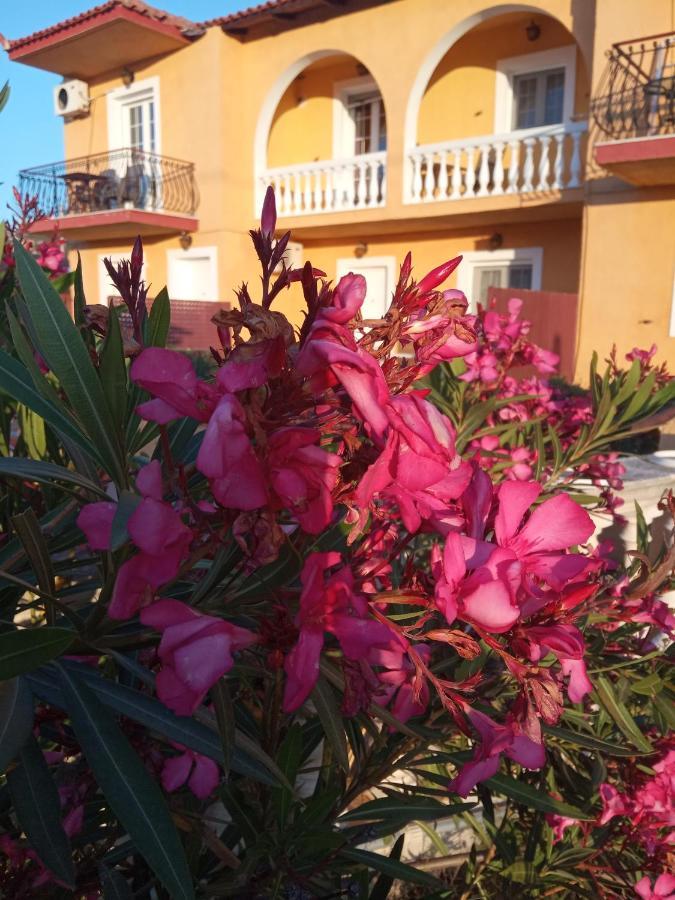 Residence Ionian St&Apts Argostoli  Bagian luar foto