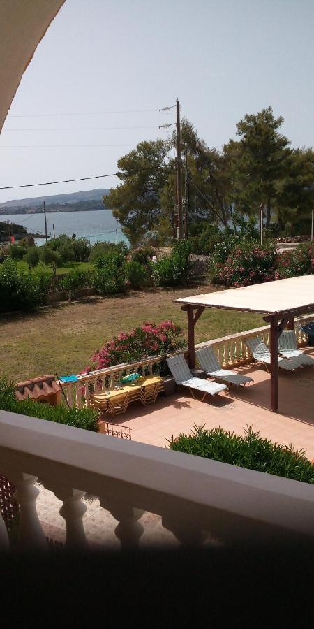Residence Ionian St&Apts Argostoli  Bagian luar foto